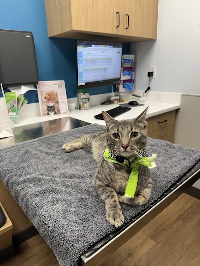 Livewell Animal Hospital of Kirkland